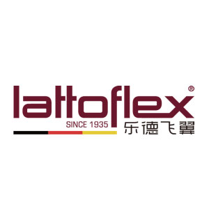 乐德飞翼