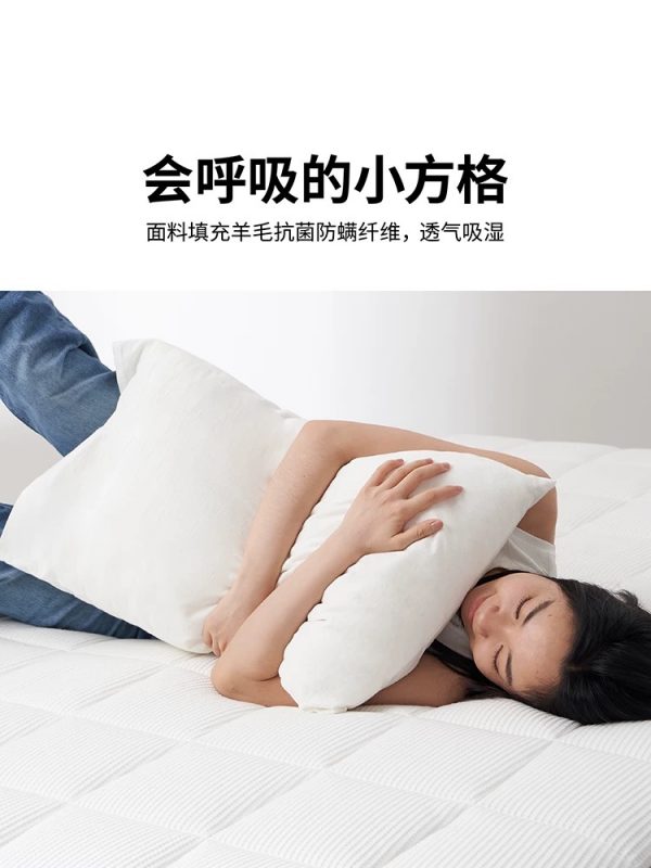 蓝盒子Z1Pro 政府补贴酒店睡感独立弹簧床垫家用卧室五星级席梦思 - 图片 2