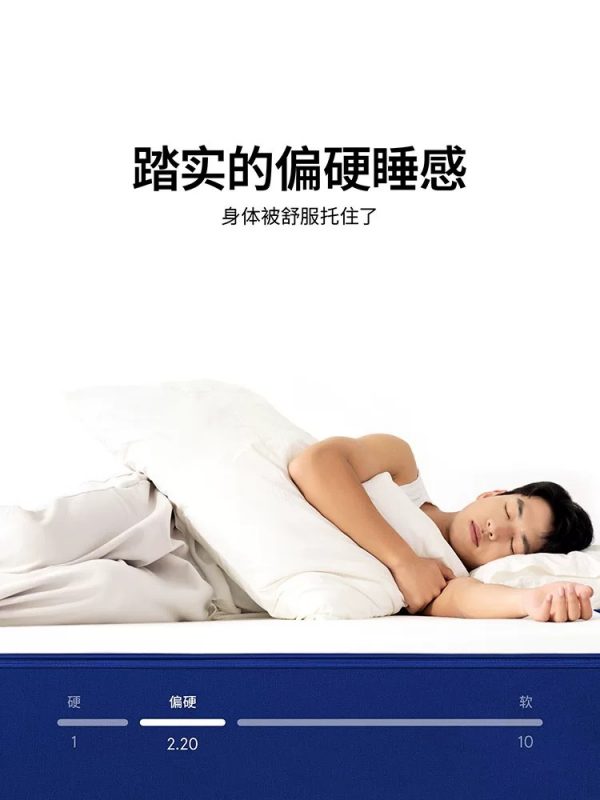 蓝盒子Z1小石头政府补贴偏硬独立袋装弹簧床垫家用卧室双人席梦思 - 图片 2
