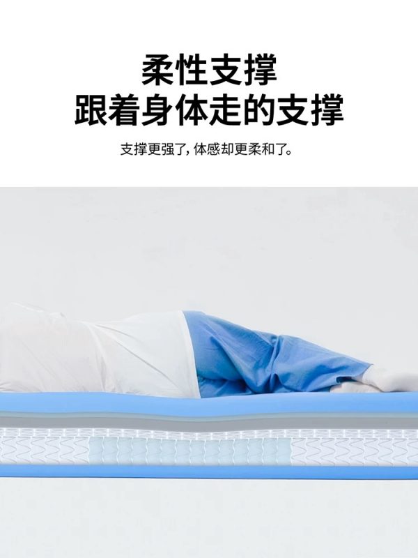 蓝盒子方块床垫政府补贴柔中带硬记忆棉弹簧家用卧室皮肤外套新品 - 图片 3