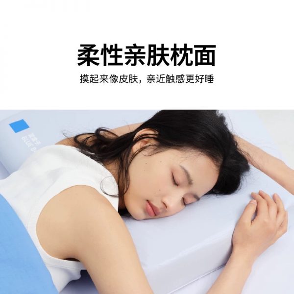 蓝盒子小蓝枕N2政府补贴记忆棉枕头成人学生护托颈椎枕助睡眠枕芯 - 图片 3