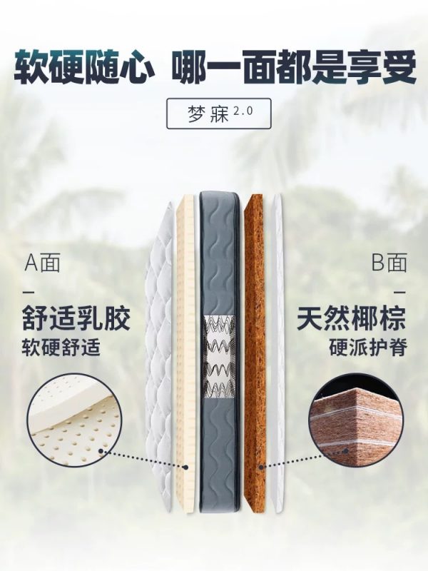 【梦寐】雅兰弹簧床垫家用乳胶护脊名牌椰棕硬垫儿童席梦思十大 - 图片 4