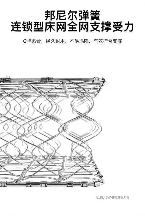 喜临门  鸿运5120 - 图片 4