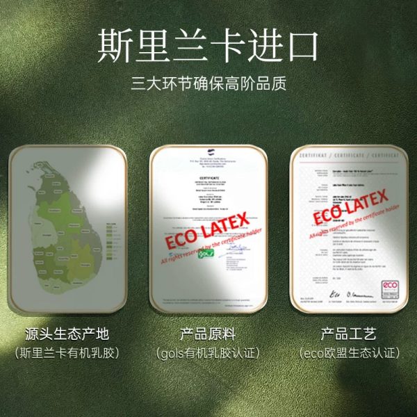 DUNLOPILLO/邓禄普天然乳胶床垫进口乳胶垫石墨烯抗菌防螨1.8m床 - 图片 5