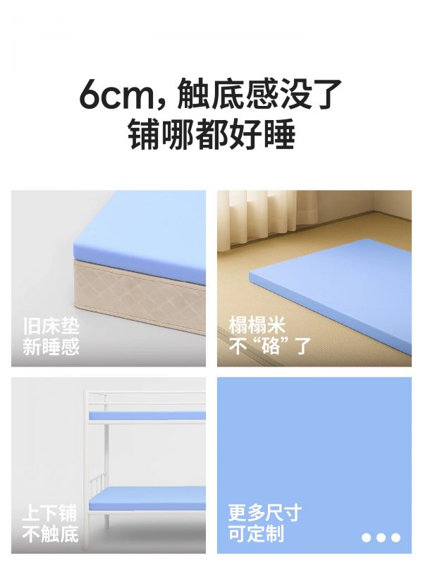 蓝盒子小蓝垫政府补贴薄记忆棉床垫学生宿舍租房专用单双人榻榻米 - 图片 5