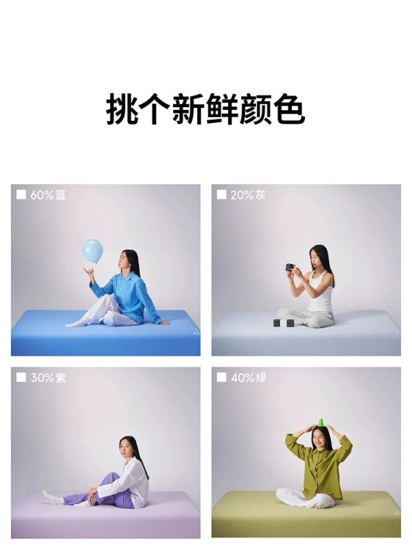 蓝盒子方块床垫政府补贴柔中带硬记忆棉弹簧家用卧室皮肤外套新品 - 图片 5