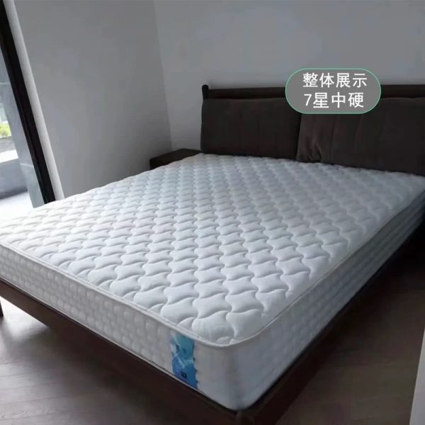 金可儿 嘉梦Plush - 图片 2