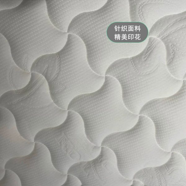 金可儿 嘉梦Plush - 图片 3
